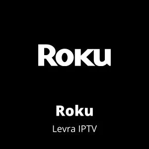 imgi_34_roku-eUJSctNy